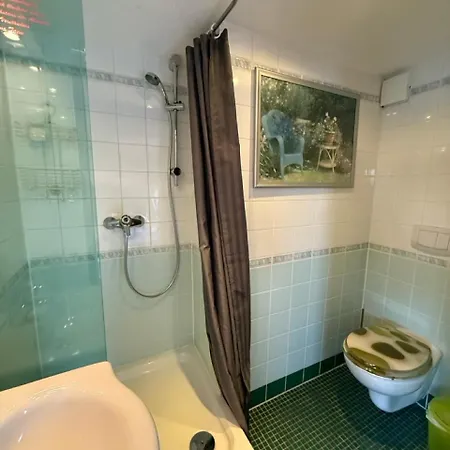 Hotel en barco Schiffspension Luise 3*